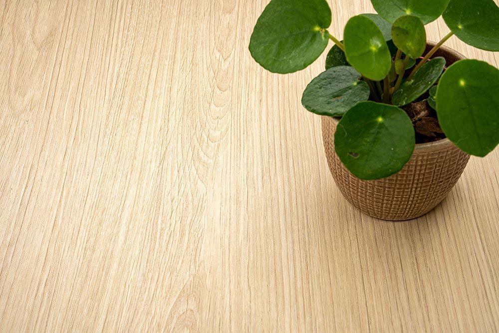 A complete guide to perfect self-adhesive vinyl installation