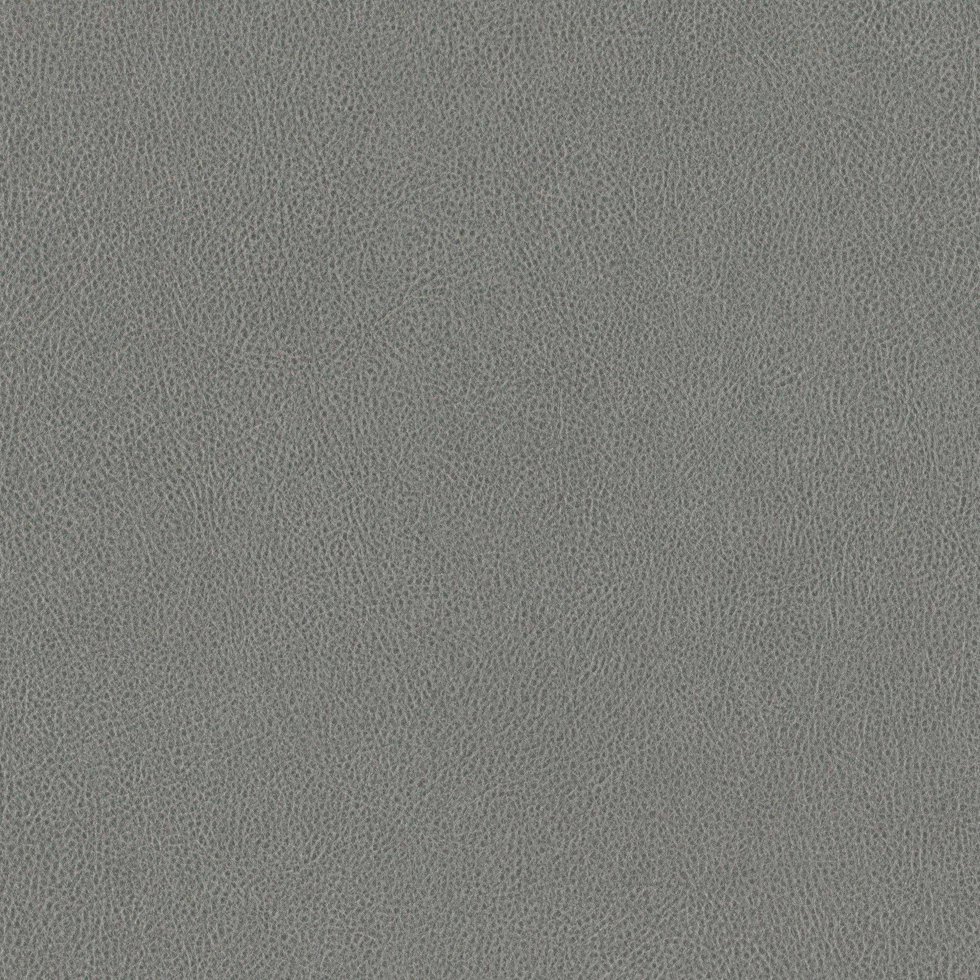NE41