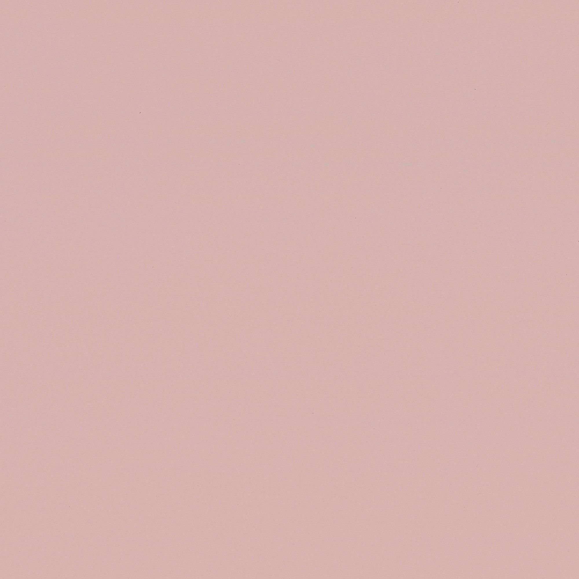 NF03