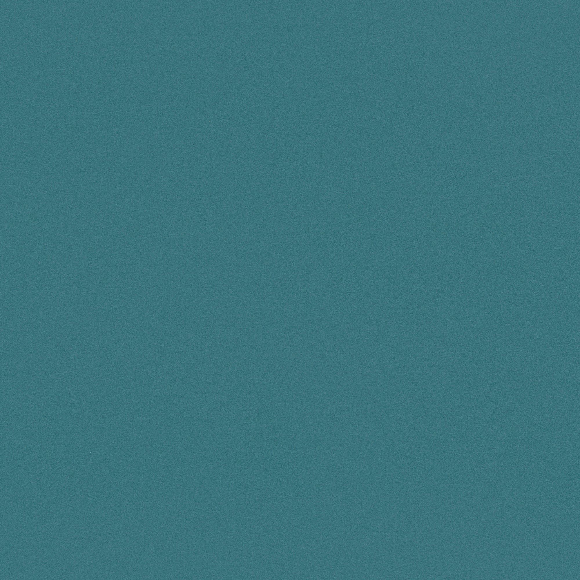 NF06