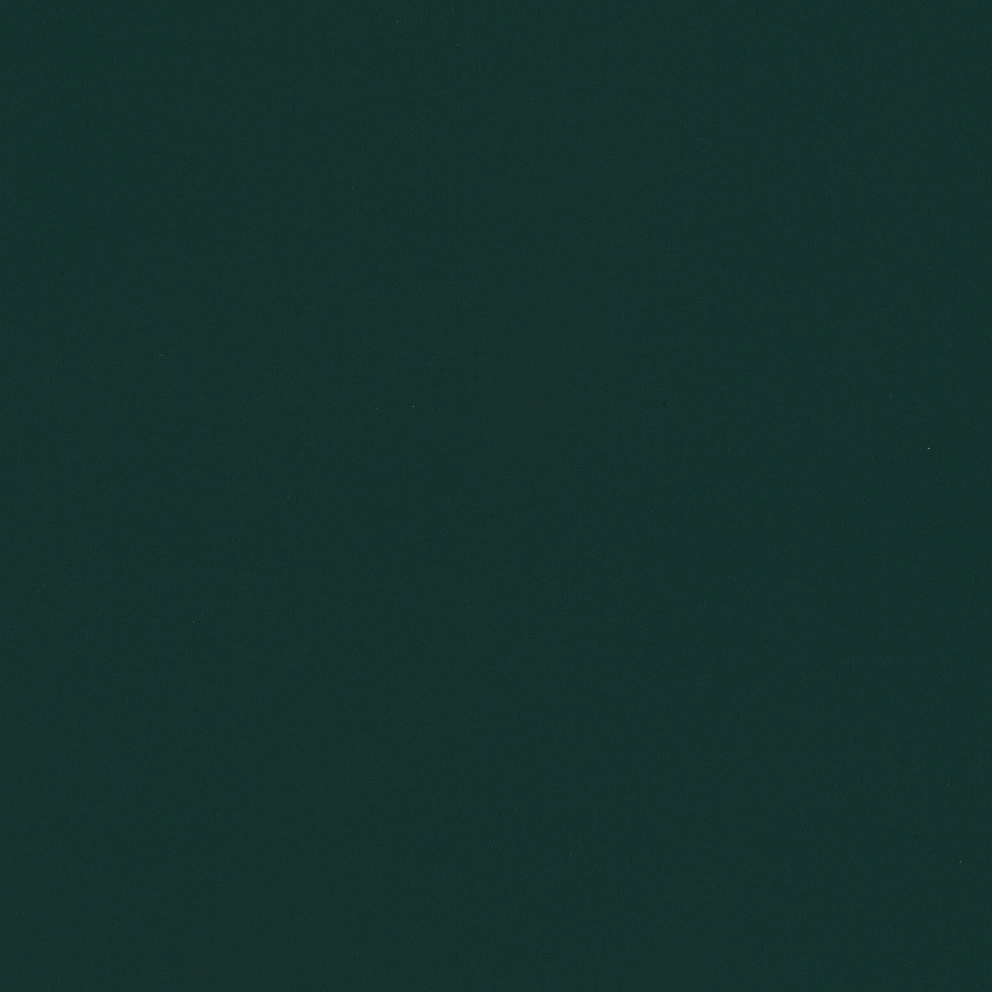 NF13