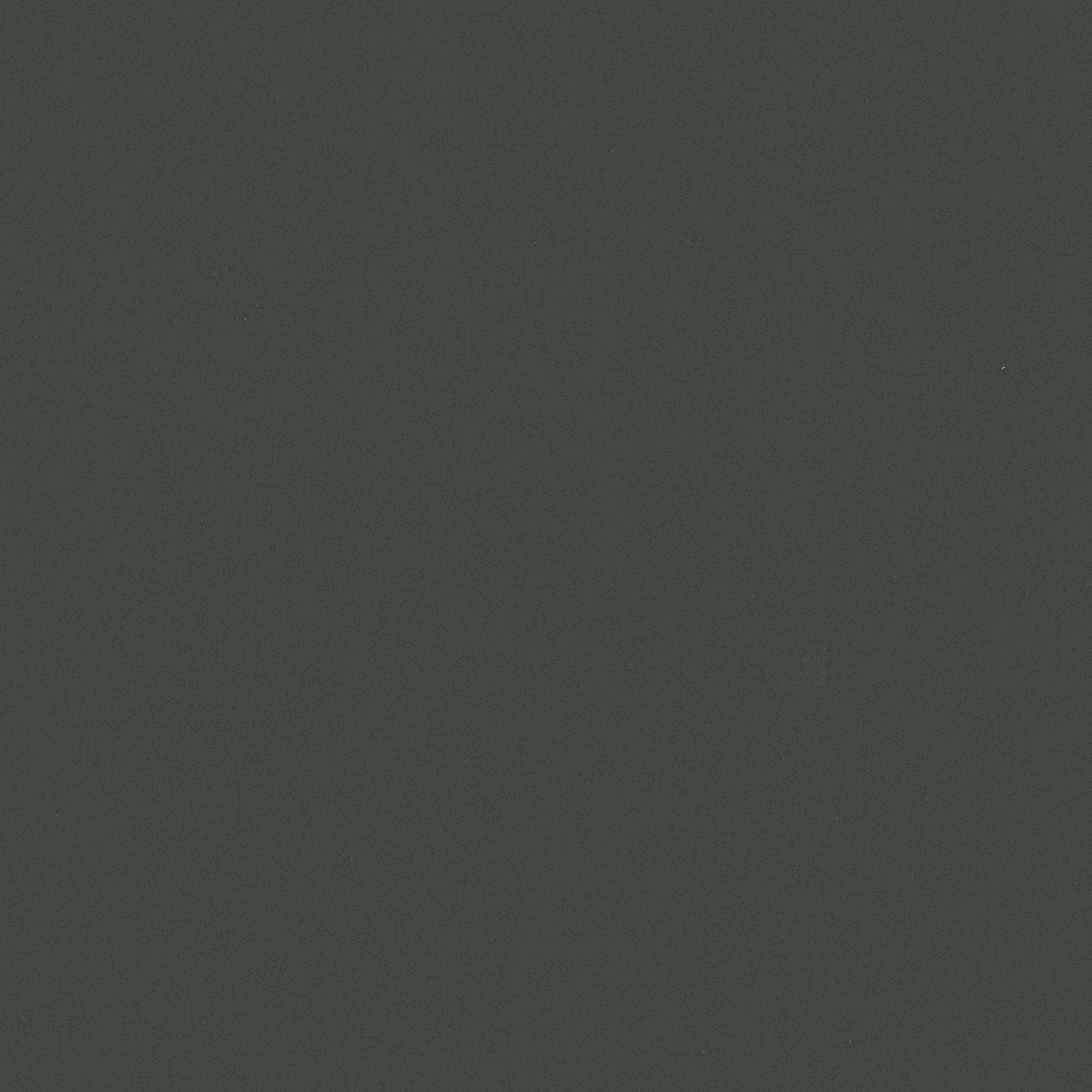 NK29