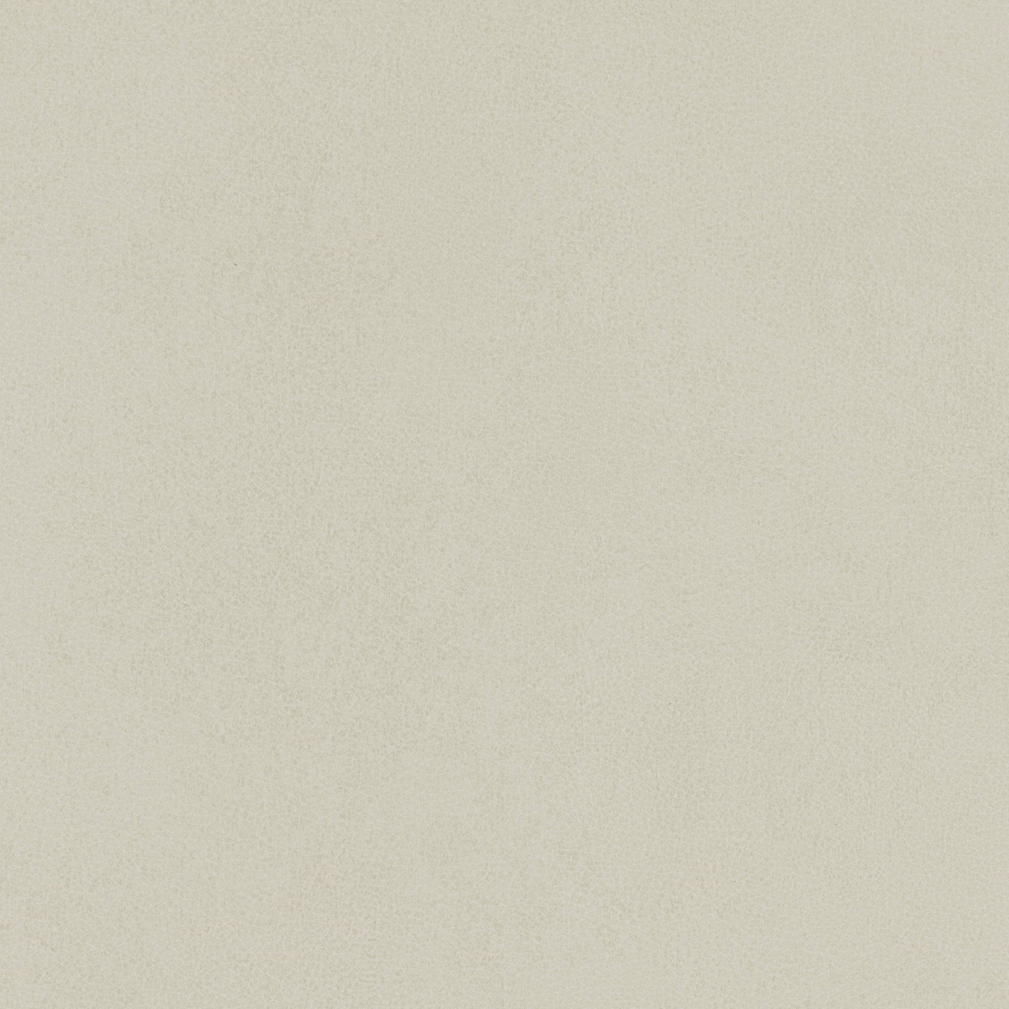 NL19