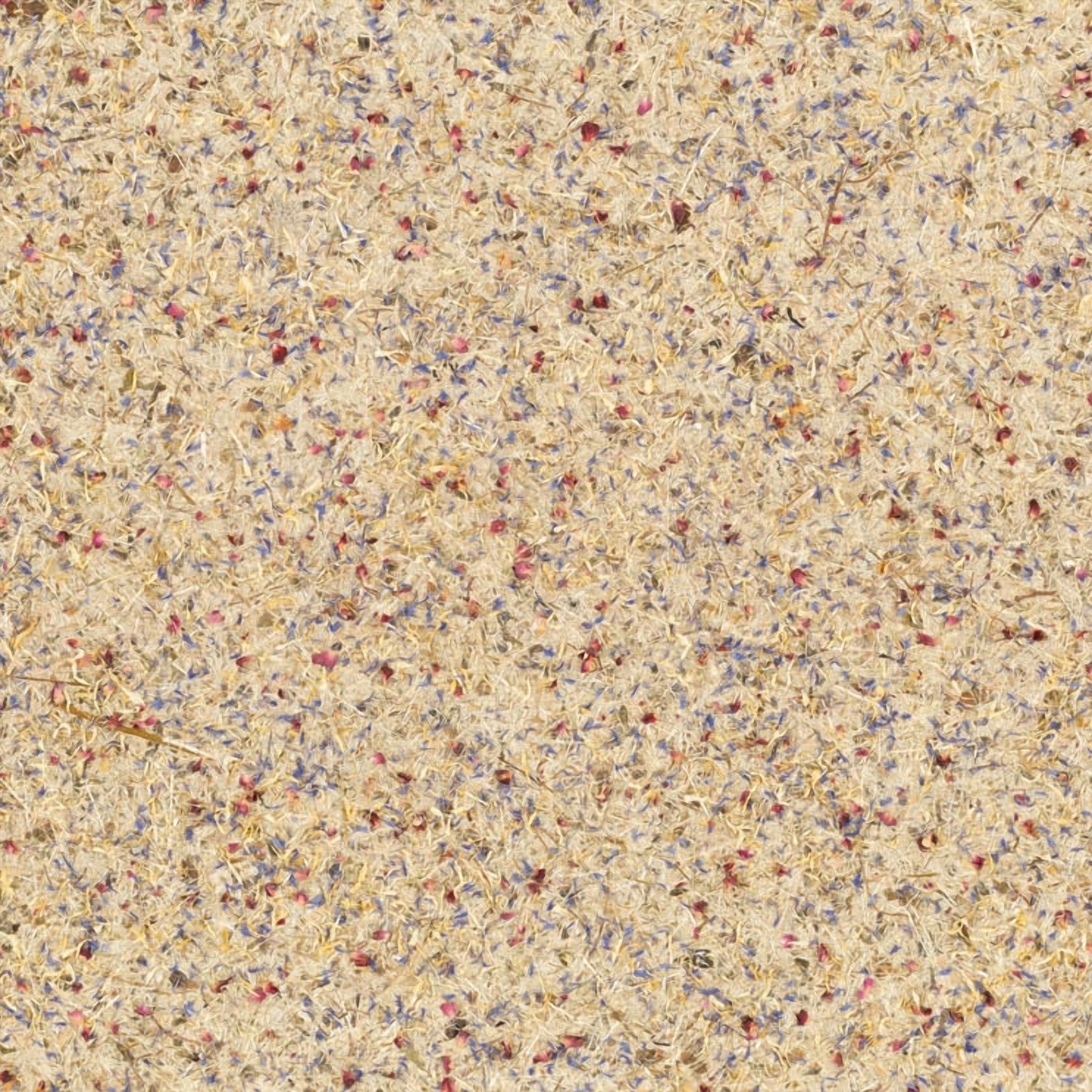 NL41