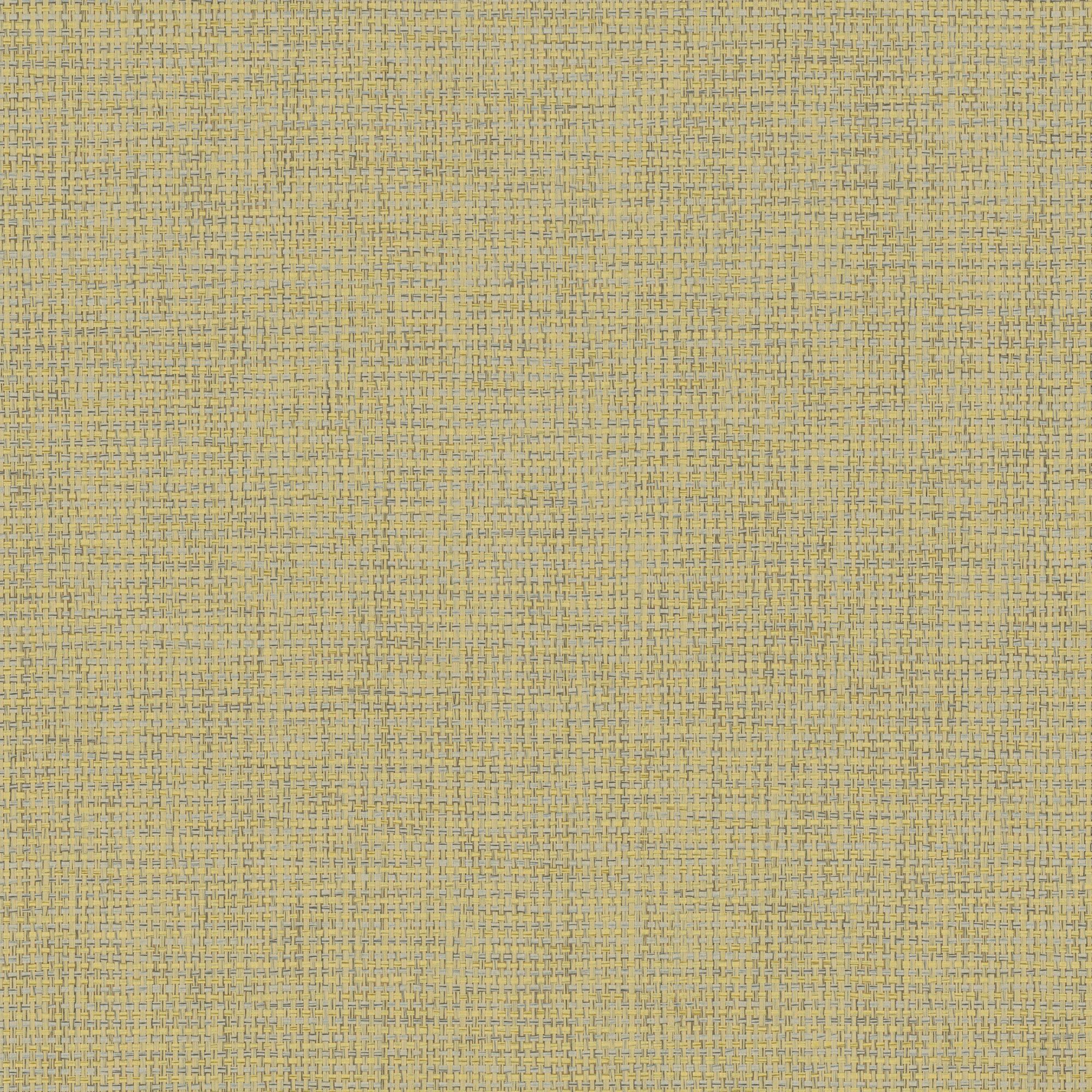 NP01