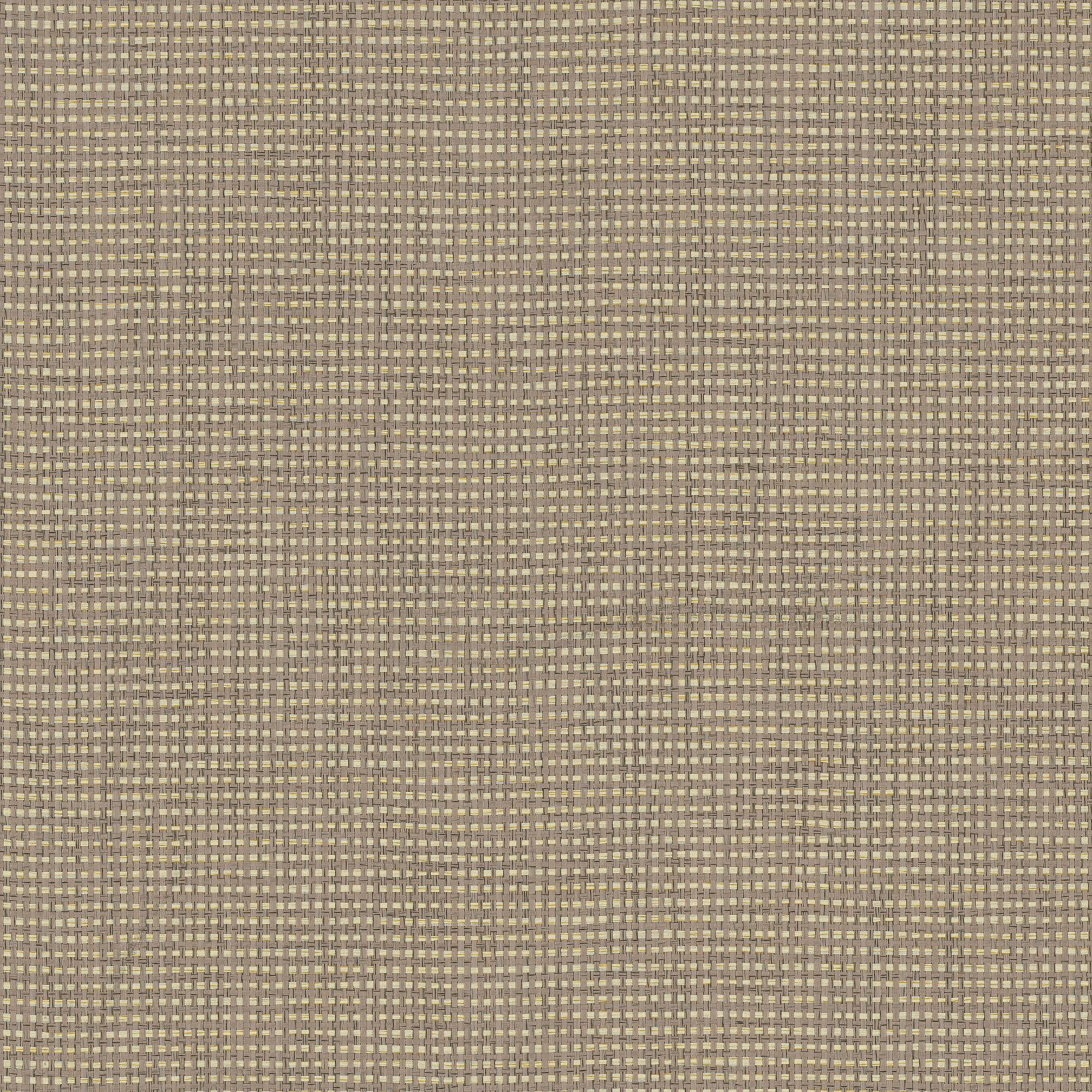 NP04