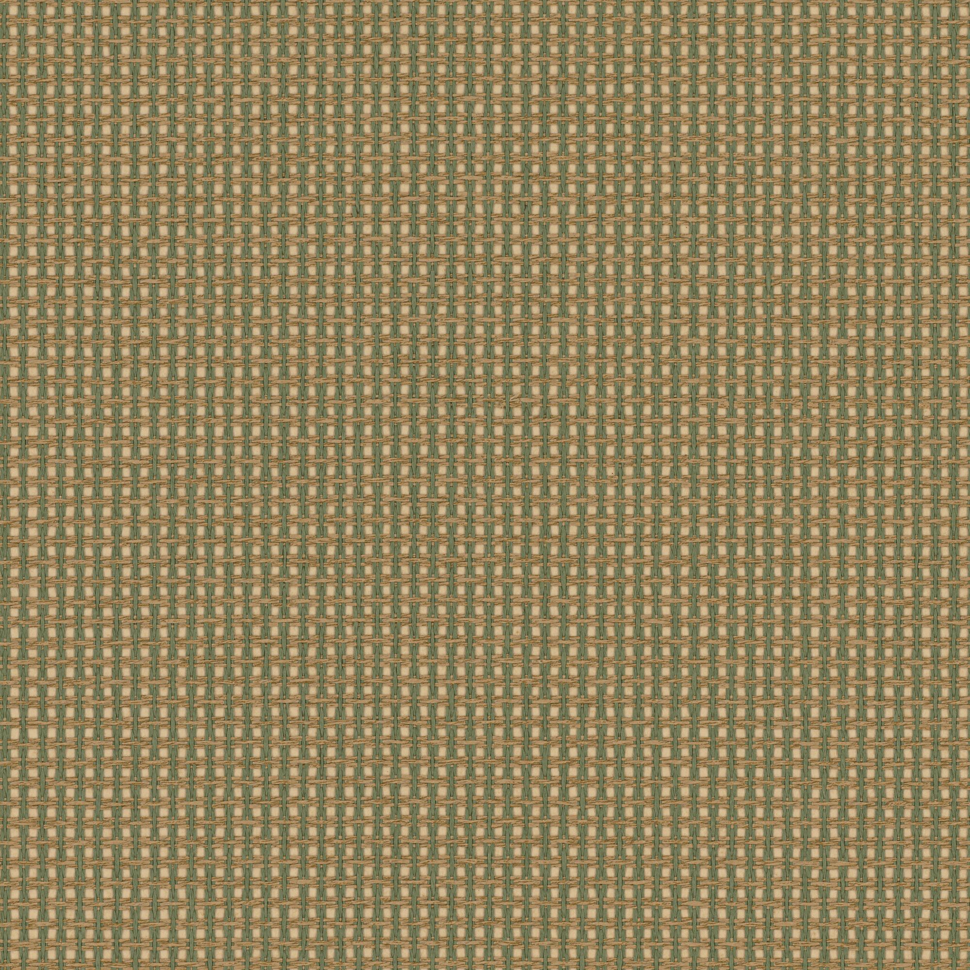 NP06