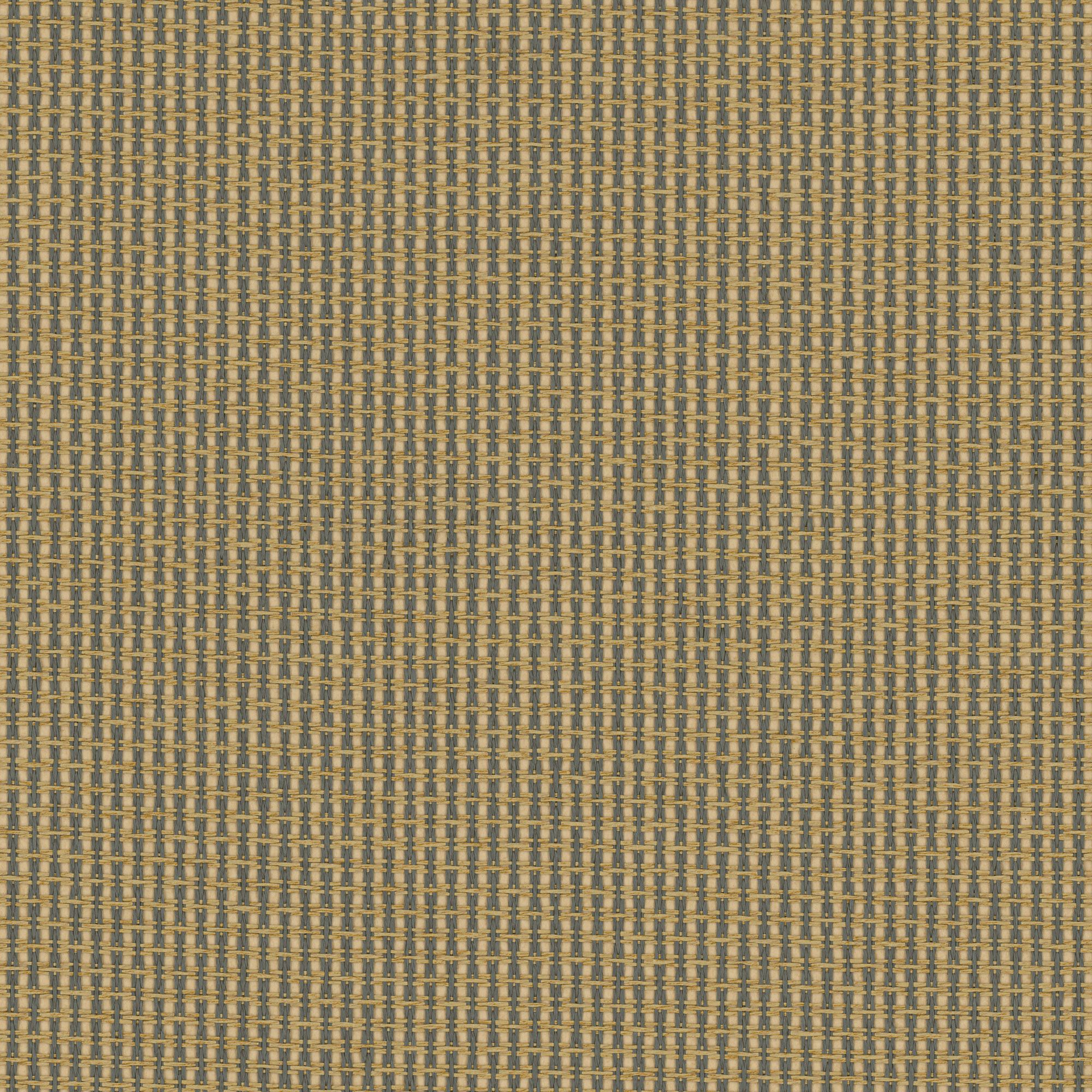NP09